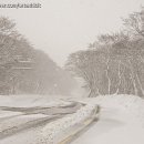 한라산석유 이미지