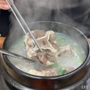 이파리 NC점 | 서면 곰탕맛집 서울깍두기 부드러운 고기가 맛있는 곳(체인점X)