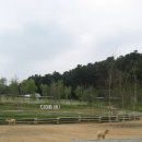 케논목장 이미지