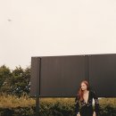 도그레이 이미지