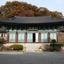 곡성-215 네이버블로그