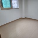 [세종시 입주청소] 새뜸마을 아파트 반려견 흔적과 찌든 때, sj깔끄미가 완벽 해결한 후기!