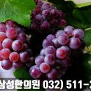 동암경희한의원 이미지