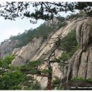 정기산행 취소로경산종주산악회 번개산행 공지 이미지