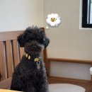 원촌마을회관 이미지