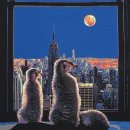 현대인-공존 이미지