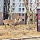 축복 이미지