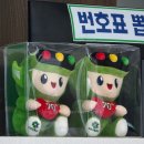 도로교통공단 춘천운전면허시험장 | 운전면허 필기시험 후기 춘천 신북읍 시험장
