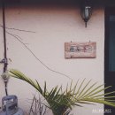 하도조아 이미지