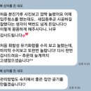 가호브리즈