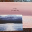 꿈꾸는제주