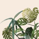 보태니컬 일러스트 이미지