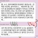 엄미아 Daum카페