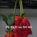 송천농장 이미지
