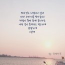 고혜진 카카오 검색결과