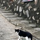 하우스 라퓨타 이미지