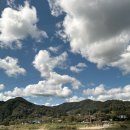 군청앞길 이미지