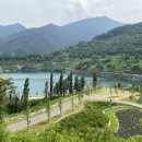 무릉이가 이미지