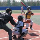 송도 달빛공원 리틀야구장 이미지