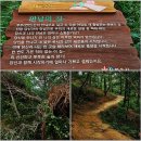 [2016년 5월 21일 토요일]스토리와 테마가 있는 "웰빙 숲길" 천년의 사랑 백제가요 정읍사 오솔길 이미지