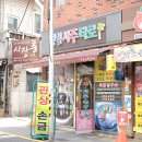 소망여행사주