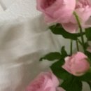 플라워스튜디오코티지