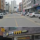 미사마이펫동물병원 이미지