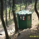 아미초교 이미지