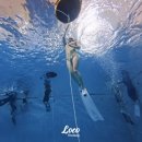 프리랑 | 가평 프리다이빙 강습 동호회 내돈내산 솔직 후기