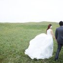 함께 남북결혼정보회사 이미지