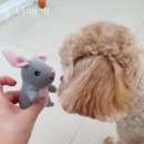 늘 너에개 이미지