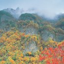 사천농협주유소 이미지