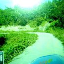 중앙유통공인중개사사무소 이미지