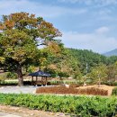 연정1리 이미지