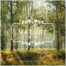 스테이사계 이미지