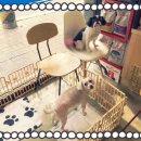 제연동물병원 이미지