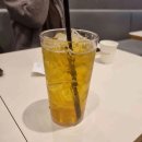 오렌지 애견 클럽 이미지