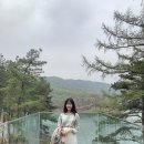 바인블루 이미지