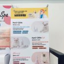 도토리살롱 이미지