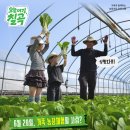 칠곡농장 네이버블로그
