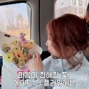 플라워천국 | 망포동꽃집 플라워헤븐에서 내돈내산 꽃선물, 마음이 천국 같았던 날