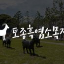 흑염소목장 이미지