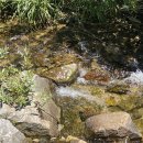 스테이 명암 | 제천펜션 의림지 숙소로 추천하는 스테이명암