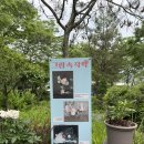 신구대식물원 ~ 5월 가드닝클래스 후기 !