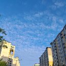 코디성형외과의원 이미지