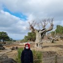 막내목장 이미지