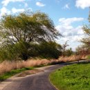 구름산책길 이미지