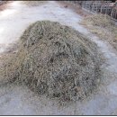 원덕목장 이미지