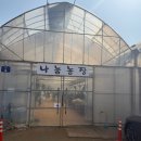 나눔염소농장 | 경기도 파주 아기와 함께 나눔농장 | 후기 🐰