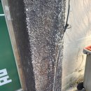 장하림한의원 이미지